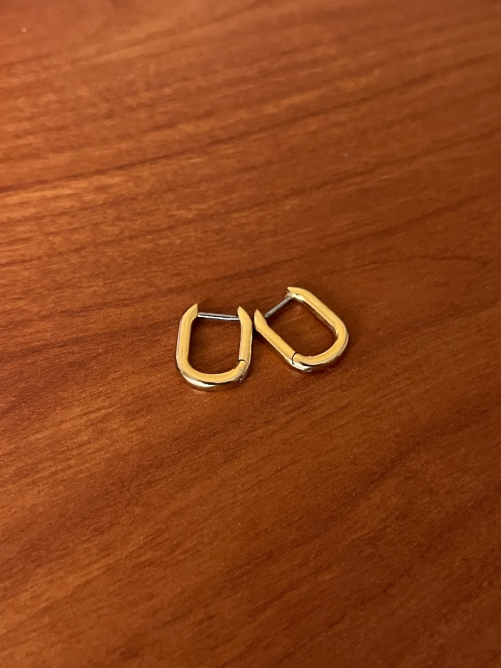 Gold Clasp Earrings